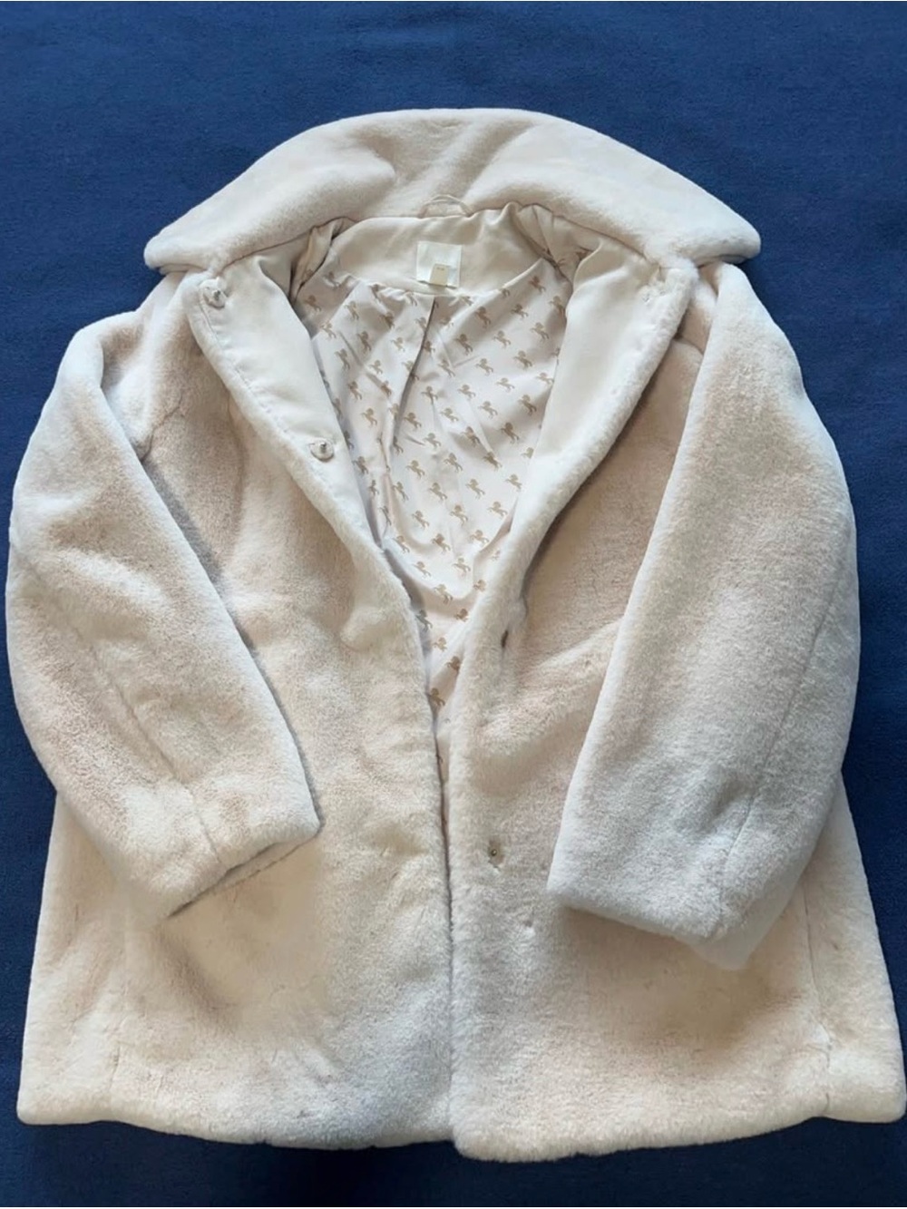 H&M Plush Faux-Fur Coat in Cream